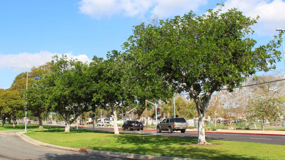 Harbor Gateway North Neighborhood Council | Harbor Gateway North ...