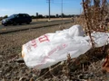 California_Plastic_Bag_Ban_19244