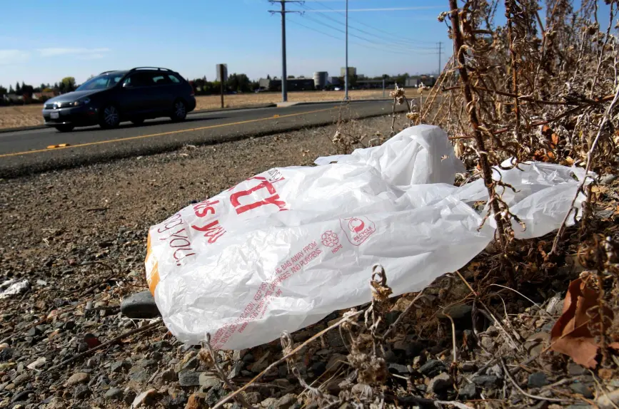 California_Plastic_Bag_Ban_19244